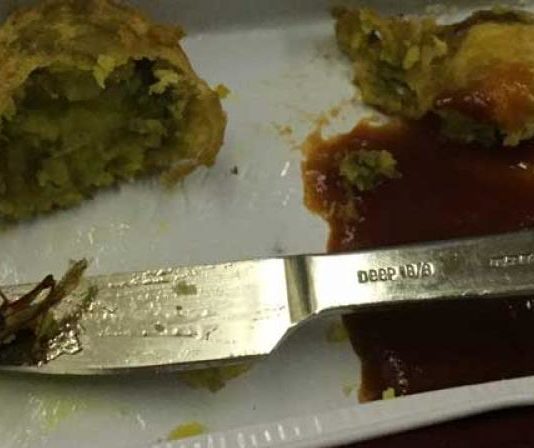 एअर इंडिया महिला यात्री के खाने में निकला कॉक्रोच