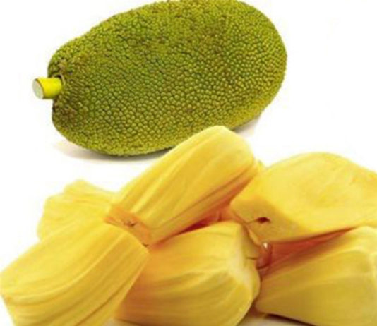 कटहल स्वास्थ्य के लिए है बेहद लाभकारी, जानें इसके फायदे