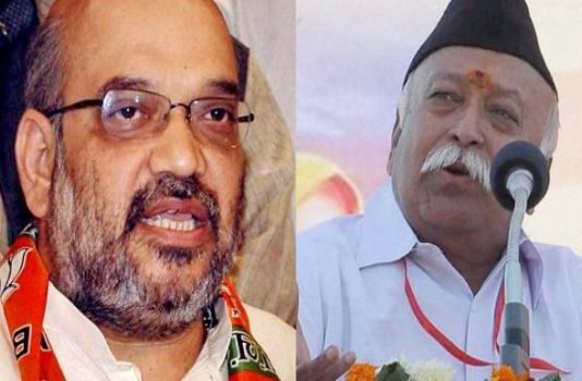 अमित शाह ने भागवत के सेना पर दिए गए बयान से झाड़ा पल्ला