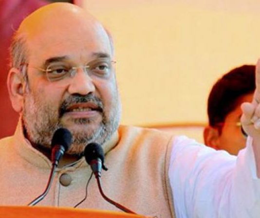 BJP में ये युवा चेहरा हो सकता है CM, अमित शाह पर बरसाये गये फूल