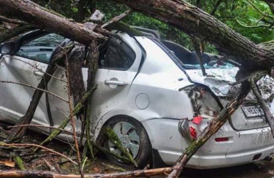 पंजाब से लेकर हिमाचल समेत पूरे उत्तर भारत में अगले 24 घंटों तक हाई अलर्ट बारिश के कहर से पंजाब से लेकर हिमाचल समेत पूरे उत्तर भारत में अगले 24 घंटों तक हाई अलर्ट