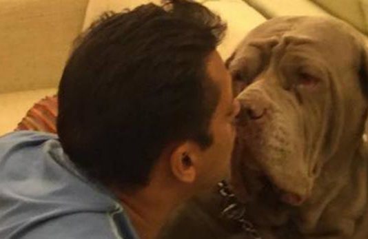 सलमान खान ने अनूप जलोटा और जसलीन मथारू का उड़ाया मजाक सलमान खान ने अनूप जलोटा और जसलीन मथारू का उड़ाया मजाक