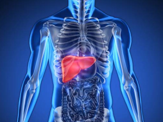 यह लापरवाही बन सकती है लिवर के कैंसर की वजह यह लापरवाही बन सकती है लिवर के कैंसर की वजह