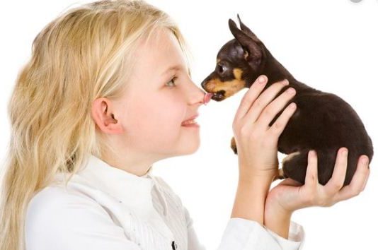 घरेलू जानवरों से हो रही है ये जानलेवा बीमारी, जानें लक्षण और बचाव