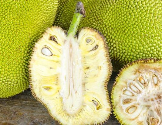 डाइट में शामिल करें कटहल, डायबिटीज के मरीजों के लिए फायदेमंद है