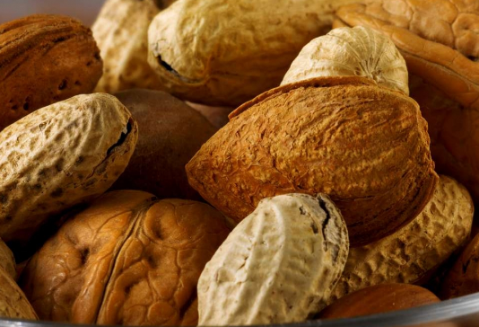 अपनी डाइट में शामिल करें एक अखरोट, इन बीमारियों को भगाता है दूर, तुरंत मिलेगी राहत