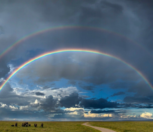 भारतीय फोटोग्राफर की इस तस्वीर के कायल हुए APPLE के CEO, किया ये ट्वीट