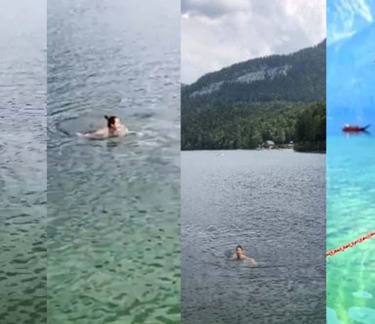 पानी में तैरती Malaika Arora से अपनी नजरें नहीं हटा पाए Arjun Kapoor, फोटो वायरल