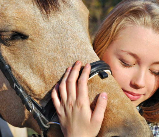 सोशल मीडिया पर छाया ये कामचोर घोड़ा, सवारी करते ही हो जाता है ढेर, Video वायरल