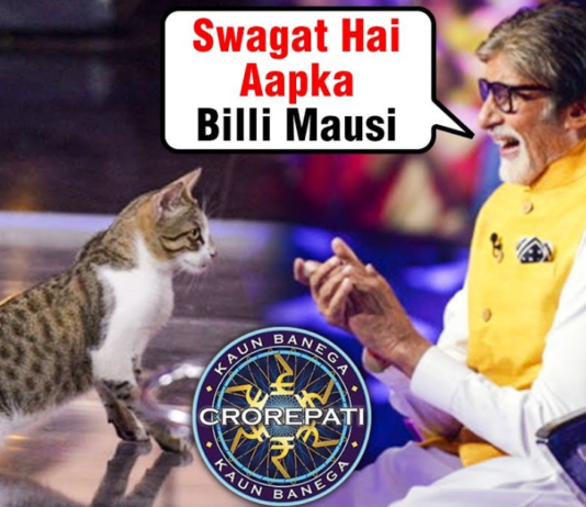 Amitabh Bachchan के साथ KBC खेलने पहुंची बिल्ली, Photo viral