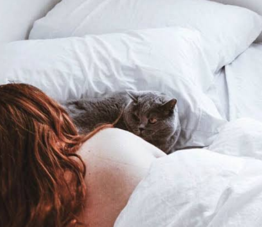 दर्दनाक: सो रही बच्ची के मुंह पर बैठी बिल्ली, दम घुटने से हुई मौत