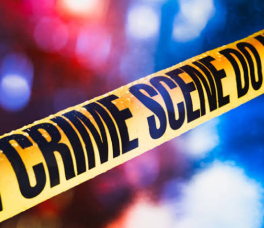 तमंचे की नोंक पर पशु कारोबारियों से साढ़े 6 लाख की लूट !