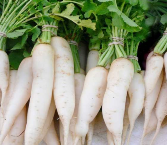 अपनी डाइट में शामिल करें मूली, इन गंभीर बीमारियों में है मददगार