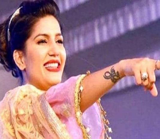 बीजेपी का प्रचार करने गयी सपना चौधरी? दिल्ली की जनता से मिला ये जबाब