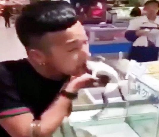 सेक्सचुअल्टी बढ़ाने के लिए चीन के युवक खा रहे जिन्दा जानवर !