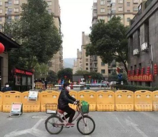 कोरोना वायरस से चीन के कई शहर रेड एलर्ट मोड में, अब तक 493 लोगों की जा चुकी है जान