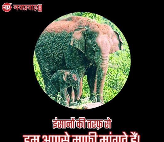 गर्भवती हथिनी का कातिल गिरफ़्तार -वन मंत्री (केरल)