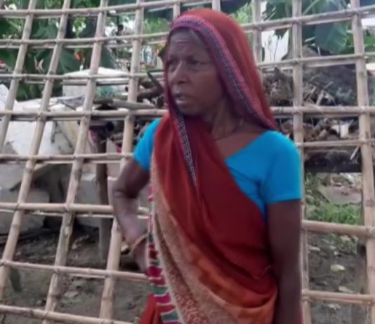 राष्ट्रीय स्वास्थ मिशन घोटाला : 65 साल की वृद्धा ने 14 महीने में जनी 8 बच्चियां