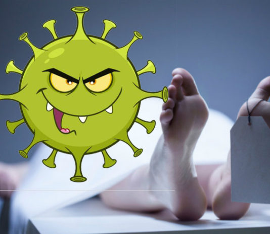 कोरोना ने उजाड़ दी, दो भाइयों की हंसती-खेलती दुनिया, एक महीने में दोनों की मौत