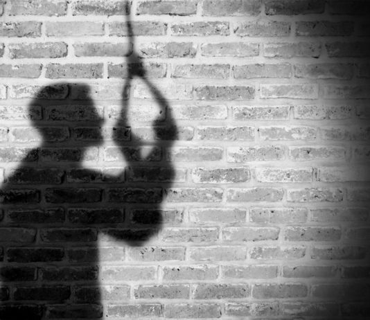 दिल्ली निवासी इंजीनियर ने पुणे में लगाई फांसी