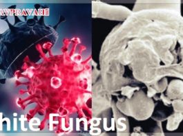 कई आफ़तों के साथ आया है कोरोना, ब्लैक फ़ंगस के बाद अब व्हाइट फ़ंगस बना सिरदर्द