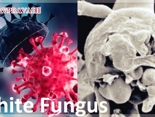कई आफ़तों के साथ आया है कोरोना, ब्लैक फ़ंगस के बाद अब व्हाइट फ़ंगस बना सिरदर्द