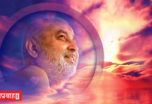 “वसुधैव कुटुंबकम् विचार के दृढ़ अनुगामी प्रमुख स्वामी जी महाराज” – साधु अमृतवदन दास जी