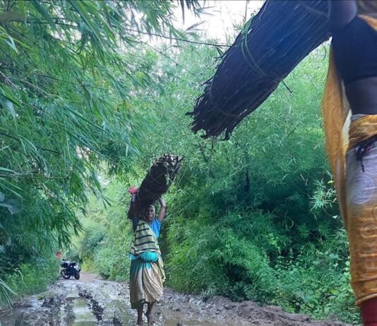 चित्रकूट: 75 साल से सड़क के लिए तरह रहा आदिवासियों का गाँव